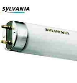 Alternative view of TUBE LUXLINE  T8 18W 865