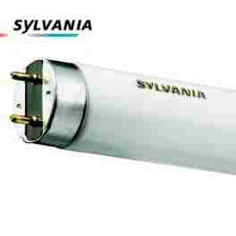 TUBE LUXLINE T8 18W 865 – Image 2